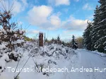 Winterlandschaft in Medebach