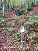 Erklärungen am Drumeckeweg