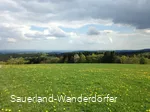 Krutenberg mit Löwenzahnwiese im Vordergrund