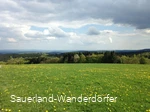 Krutenberg mit Löwenzahnwiese im Vordergrund