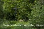 Seelenort Schwarzbachtal