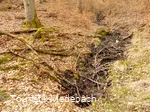 Anfang April unterwegs auf dem Hessebergrundweg