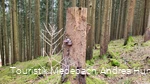 Wandern zu jeder Jahreszeit