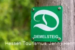 Diemelsteig