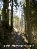 Waldweg an der Goldspur Eimelrod 