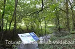 Infotafel 6 am Gewässerpfad Orke