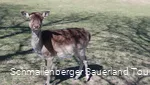 2476637