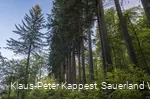 Sauerland-Seelenort Himmelssäulen