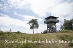 Turm an der  Schwalenburg