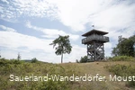 Turm an der  Schwalenburg