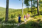 Barfußpfad Kneipp WanderWeg Olsberg- Copyright Sauerland Tourismus, Ketz.jpg
