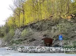 Wanderparkplatz Milchenbach.JPG