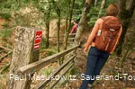 Pfad bei Wagenschmier auf dem Rothaarsteig