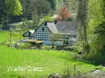 Ausflugsziel im Grünen