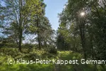 Graswanderweg in Willingen