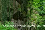 Blick auf die Felswand am Steinbruch Peperburg