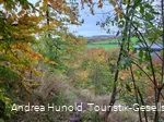 Kleine, naturbelassene Pfade im Weddelberg