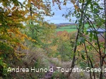 Kleine, naturbelassene Pfade im Weddelberg