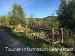 Trollbrücke Walderlebnispfad.JPG