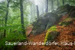 Unterhalb des Hollenfelsens bei Bödefeld im Sauerland