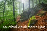 Unterhalb des Hollenfelsens bei Bödefeld im Sauerland