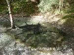 Tümpel im Steinbruch Schinkenkeller