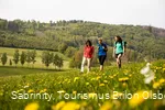 Wandern in Olsberg
