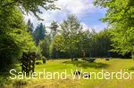 Blick auf das Femegericht oberhalb von Züschen