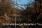 Kyrillpfad im Sauerland in der Herbstjahreszeit