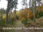 Der Weddel im Herbst