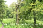 Naturwege auf dem Langenbergrundweg
