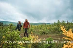Wanderpaar auf einem Hoehenzug im Sauerland