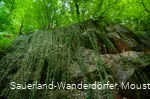 Blick nach oben auf die Felswand im Steinbruch Peperburg