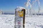 Verschneite Wandermarkierung am Kahlen Asten