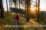 Wanderer auf dem Rothaarsteig