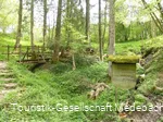 Die Orkequelle in Küstelberg