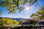 Ausblick vom Rinsleyfelsen bei strahlend blauem Himmel