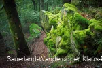Mit Moos überzogener Hollenfelsen in den Sauerland-Wanderdörfern