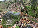 Sauerland-Seelenort Quarzklippen
