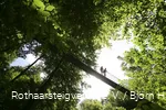 Hängebrücke bei Kühhude am Rothaarsteig