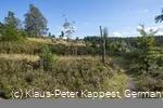 Heidepfad am Wanderweg U3 in Willingen-Usseln