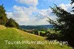 Grasweg auf dem Geschichtspfad Welleringhausen