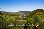 Blick vom Stryck auf Willingen 
