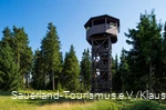 Ziegenhelleturm in Hallenberg
