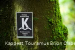 Olsberger Kneipp WanderWeg