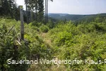 Aufstieg vom Krenkeltal zum Rothaarsteig